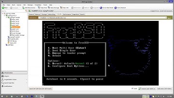 Install FreeBSD-11.2 (in XCP-NG/XEN) and Compile Kernel