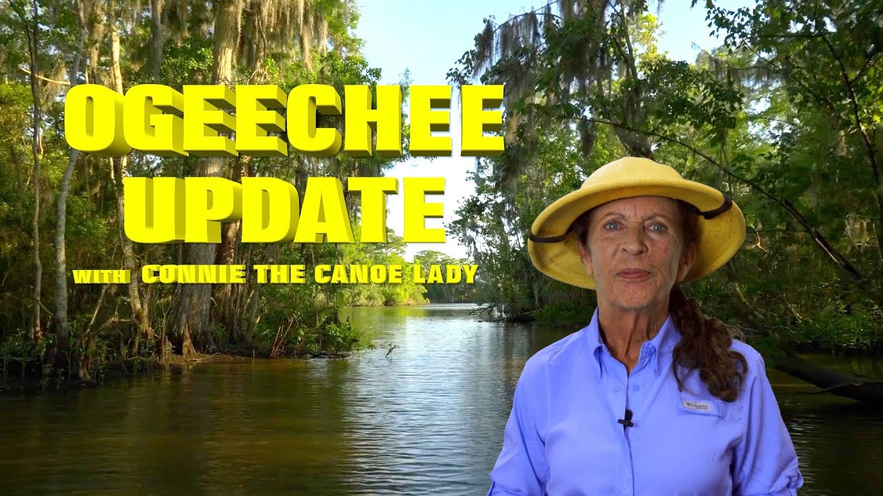 Weekly Update For Sept 21 2022 Sept 27 2022 YouTube weekly-update-for-sept-21-2022-sept-27-2022-youtube