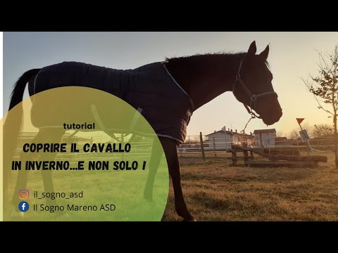 Video: Cura Invernale Per Il Cavallo Anziano - 4 Consigli Per Aiutare Il Tuo Cavallo Durante L'inverno