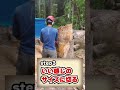 巨大なアレの作り方 #shorts #heyheyhochannel #林業