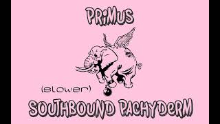 Southbound Pachyderm Slower