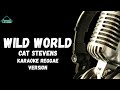 Wild World By Cat Stevens Karaoke Reggae Version