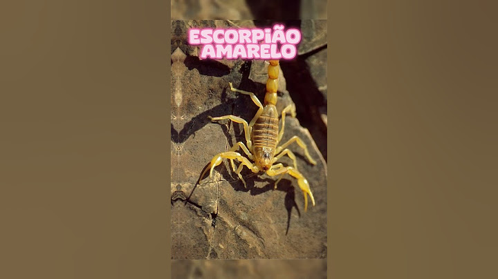 Animais mais perigosos encontrados no Brasil! 😱🐍 #shorts #youtube #youtubeshorts #shortvideo #brasil