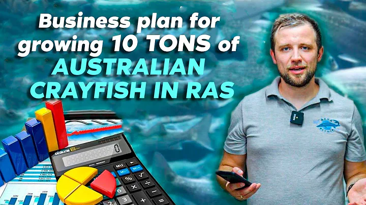 Business PLAN for GROWING 10 tons of AUSTRALIAN CRAYFISH in RAS | Business IDEAS | STARTUP - DayDayNews