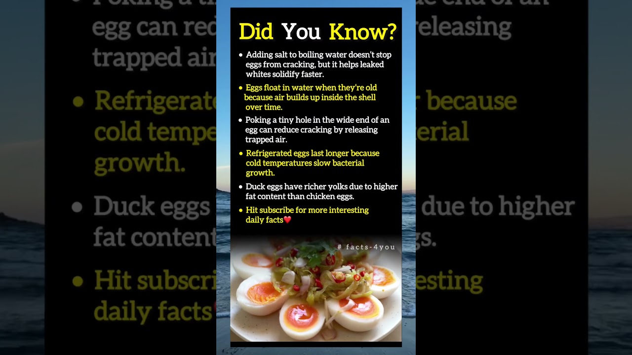 Egg Secrets You Didn’t Know! Surprising Kitchen Facts.