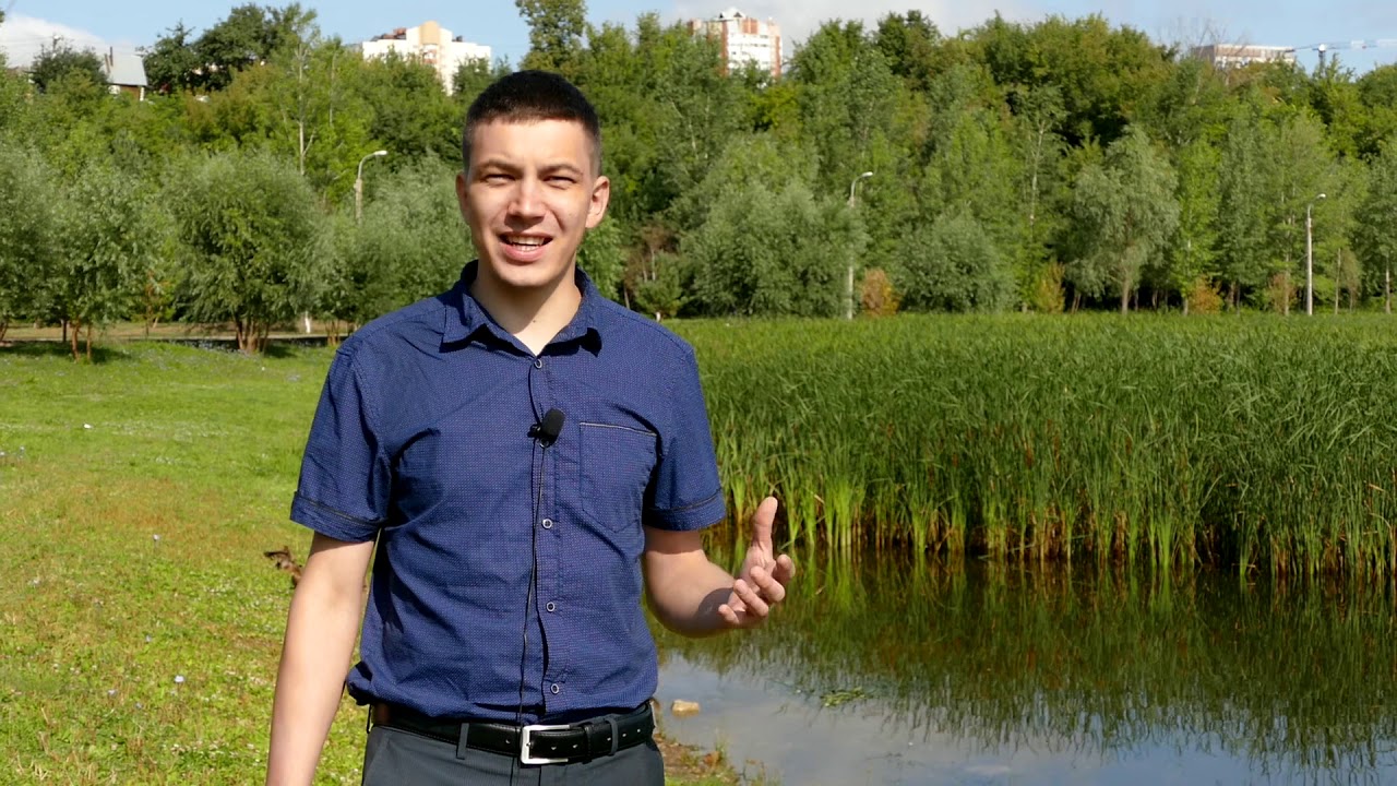 За пределами бетонной коробки: Сипайлово. Обзор на микрорайон.