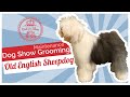 Dog Show Grooming: How to Maintenance Groom an Old English Sheepdog