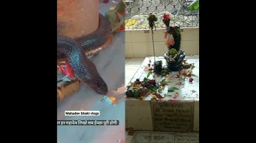 sibling go Mahakal #viral #mahadev #mahakal #2023 #bolbamsong #shot #status #shiv #viralstatus