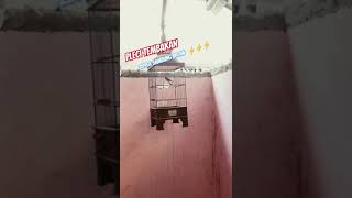 Download Lagu pleci materi zipper sambung bren ‼️‼️‼️ #trending #kicaumania #plecimaniaindonesia MP3