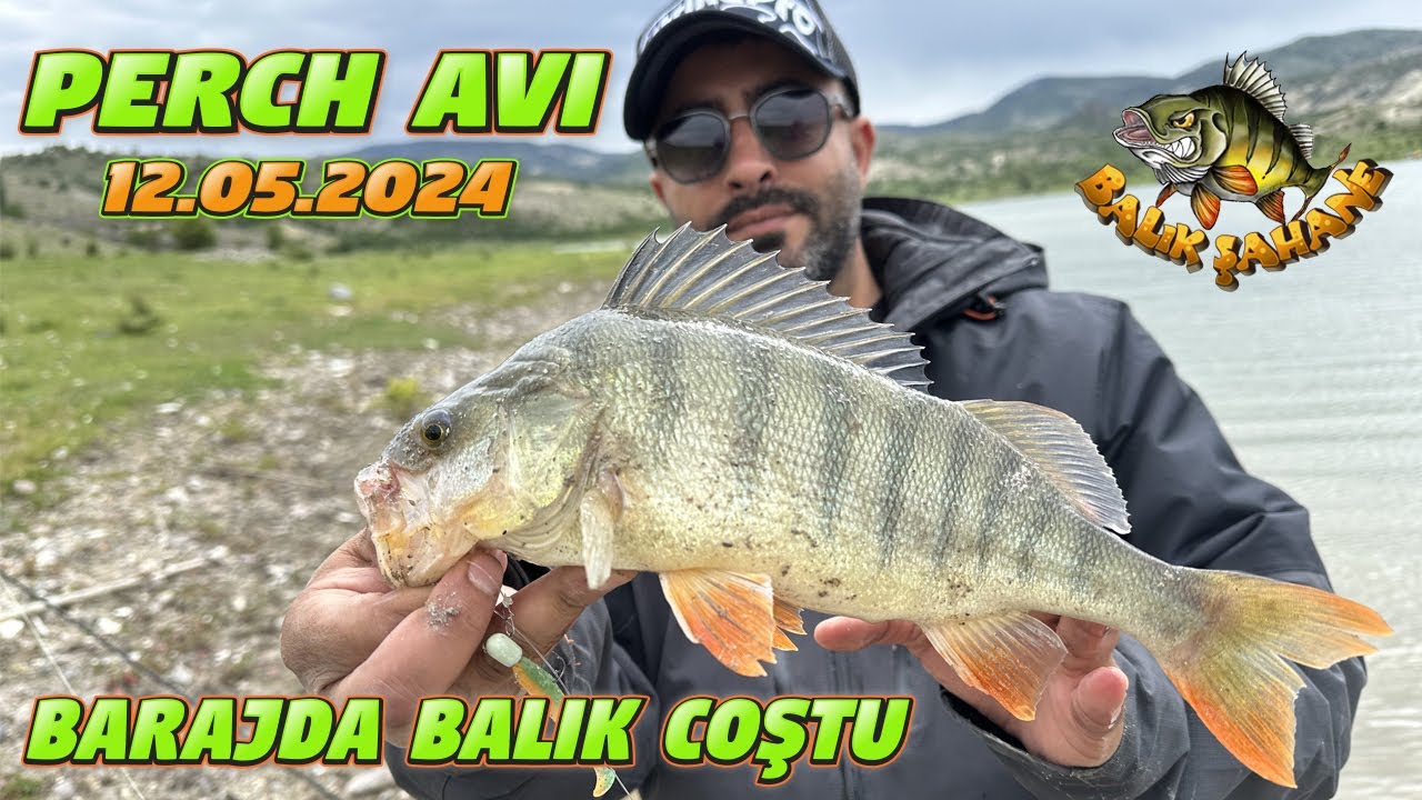 Kıyıdan Perch Balık Avı. Perch Sezonunu Açtık.Şakır Şakır Balık Yakaladık…