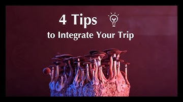 Beyond the Trip: How to Integrate a Psychedelic Experience