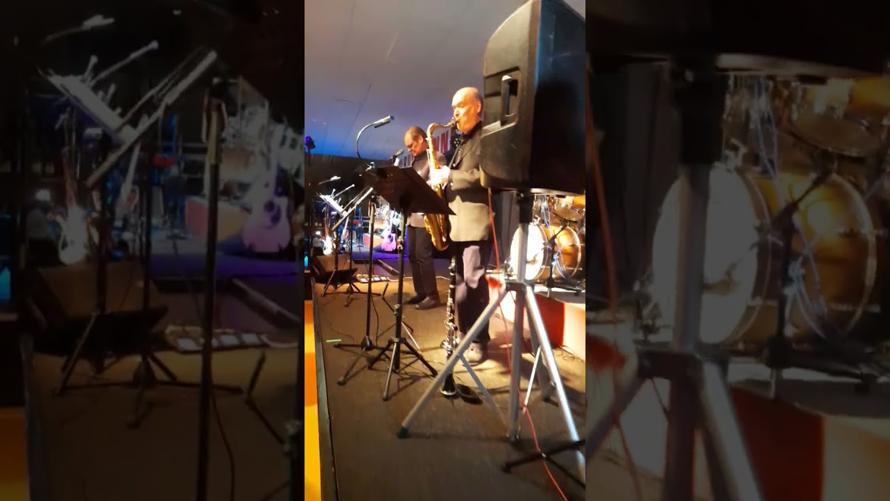 Ari Nylund&Timo Rahkonen/pihapihlaja