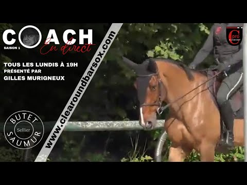 COACH EN DIRECT 2 exercices simples pour connecter le mental de votre cheval à vous.