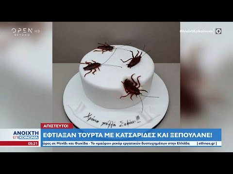 Απίστευτο: Έφτιαξαν τούρτα με κατσαρίδες και ξεπουλάνε | Ανοιχτή επικοινωνία 06/10/2022 | OPEN TV