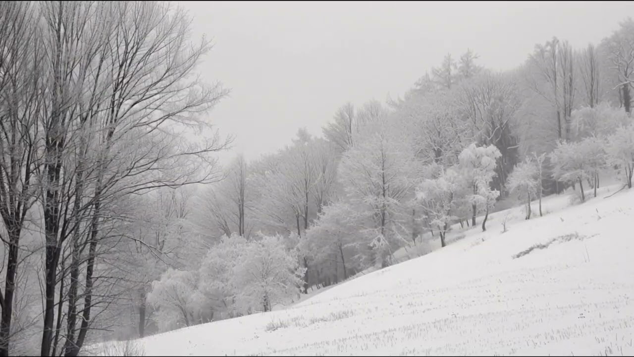 Snow Blizzard with Wind Noise | Winter Ambiance