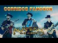 Los Alameños De La Sierra - Exitos De Los Alameños De La Sierra - Puros Corridos Mix 2021