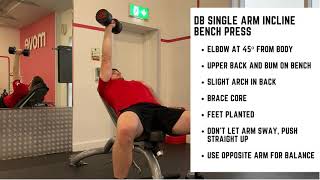 DB SA INCLINE BENCH PRESS - Bok programming