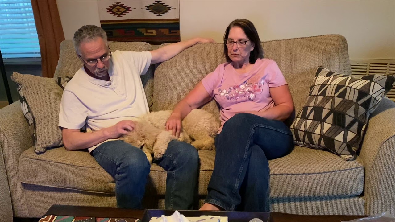 Tip Top K9 Reviews Best Dog Training in West Jordan Utah West