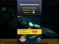 🌌 Bioluminescence: జీవులు Electricity లేకుండా ఎలా Glow అవుతాయి? #youtubeshorts #telugufacts