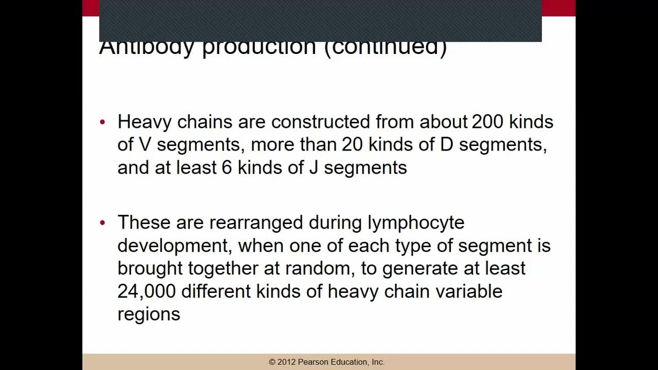 Molecular biology chapter 23 (#1) - YouTube