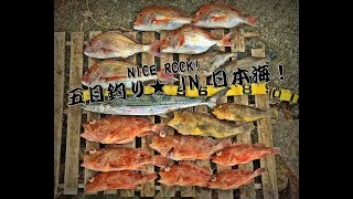山口県/萩市 日本海釣行!H29年3月4日 根魚狙い! 坪内知佳 検索動画12 山口県/萩市 日本海釣行!H29年3月4日 根魚狙い! 坪内知佳 検索動画 12