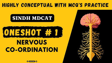 MDCAT | ONE SHOT NERVOUS COORDINATION | MDCAT Champion