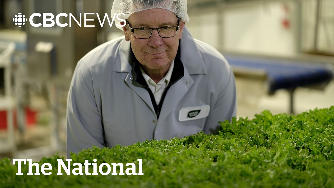 Want more ‘Buy Canadian’ food? These companies are trying to help