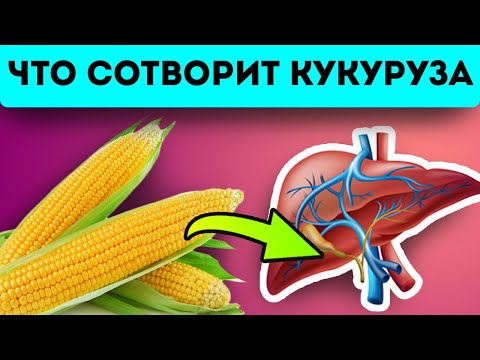 95 не догадываются что кукуруза может…