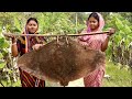 5kg big stingray fish amazing cuttingcooking fish pakora recipe  village food recipe