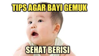 Tips Agar Bayi Cepat Gemuk Berisi