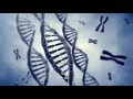 CROMOSOMAS Y GENES : DOCUMENTAL COMPLETO | Osgam