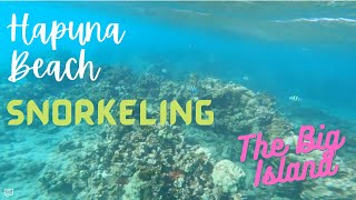 Hapuna Beach Snorkeling