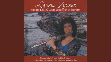 Suite in B Minor for Flute & String Orchestra: VI. Menuet