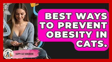 Best Ways To Prevent Obesity In Cats. - Happy Cat Handbook
