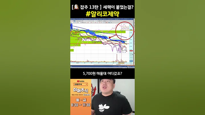 [🐶 잡주 13탄 ] 세력이 붙었는걸? #알리코제약