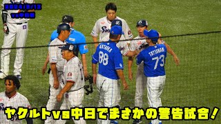 ヤクルトvs中日で警告試合！両チームが入り乱れる！！ 2024/8/13 vs中