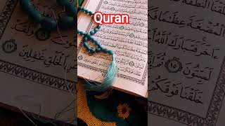 QURAN URDU TRANSLATION.  #quran #love