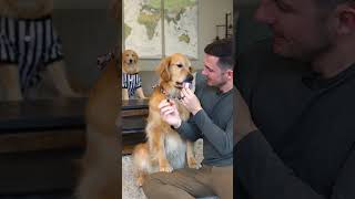 Ellie's Taste Tournament: blueberry vs string cheese