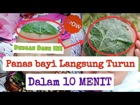 Cara Agar Suhu Badan Cepat Turun