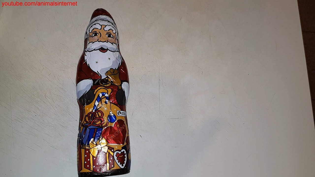 How to open a LIDL chocolate Santa Claus. Filmed with Samsung Galaxy Note 8  smartphone camera