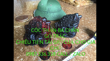 CÓC BA CHÂN , THIỀM THỪ GỖ TRẮC , GỖ TRẮC ĐỎ ĐEN 0987336318