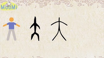 Chinese Character Evolution and Strokes汉字演变+笔画 |大da / big, great, large