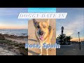 Puppy Date | ROTA, SPAIN | Military Spouse