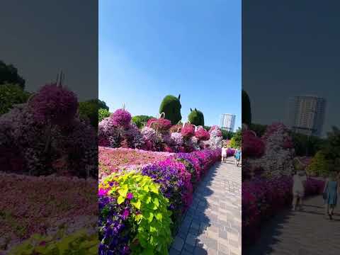 dubai miracle garden