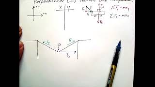 2D Dynamics
