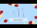 Sexual Health - Blood to Blood