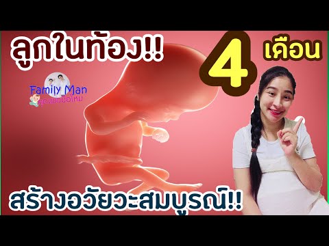 แม่ท้องต้องฟัง พัฒนาการทารกในครรภ์ 4 เดือน #ลูกในท้อง4เดือนมีพัฒนาการอะไรบ้าง พัฒนาการลูกในท้อง 16