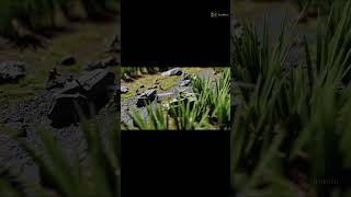 Modern Soldiers in Battle #MiniatureWarfare #TiltShiftBattle #ModernCombat #RealisticMiniatures