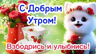 ✨️ Доброе Утречко! 🌺 Хорошего Денёчка! 👌🤗 Красивая Открытка С Добрым Утром Для Вас! 🍒🍇