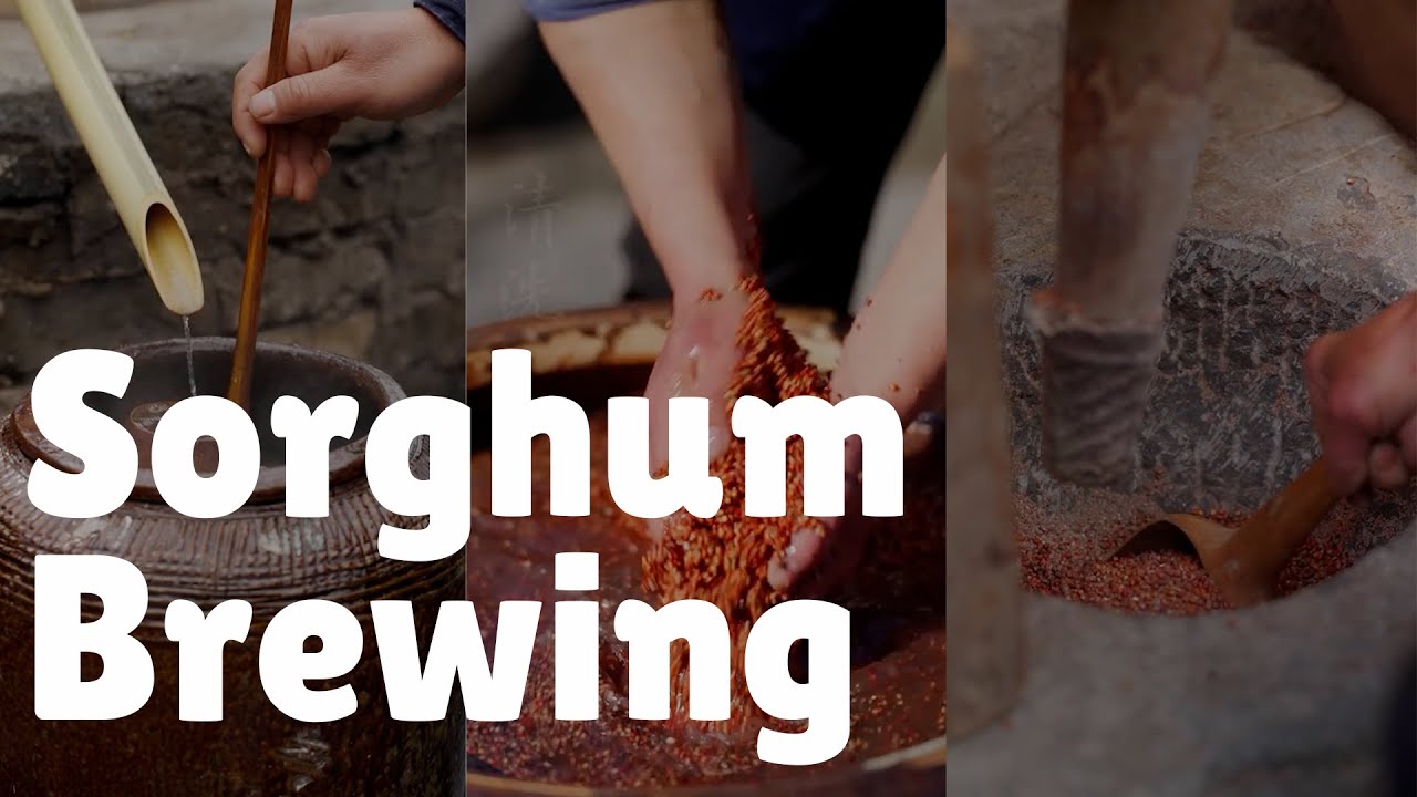 Sorghum Brewing Unveiled - A Delicious Journey into Gluten-Free Fermentation | Nature's Whispers